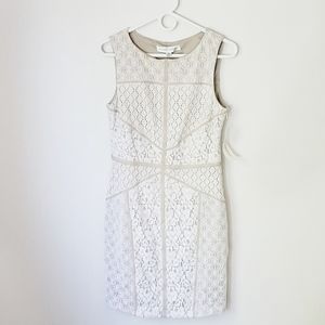 Maggy London Dress Lace 10 NWY